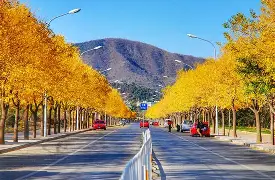 LOL赛事 -开会会议要求怎么写