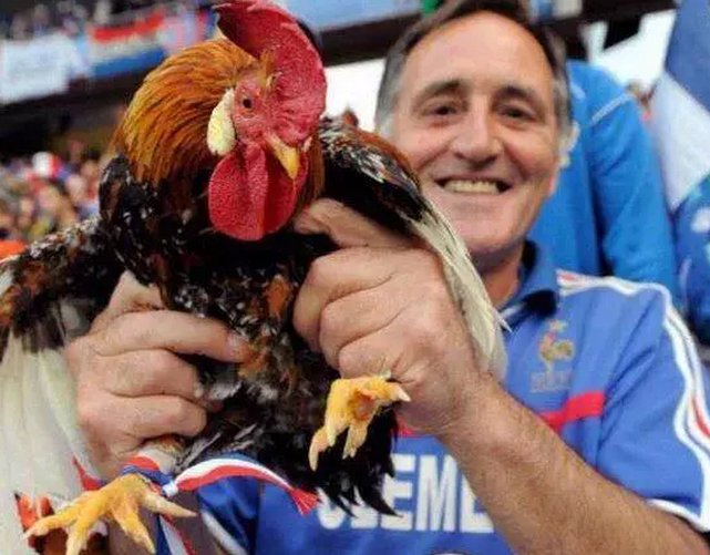 英雄联盟平台 -包含费耶诺德迎CBA季后赛关键赛，今夜队长鼓劲，引发热议，团队化学反应显著的词条